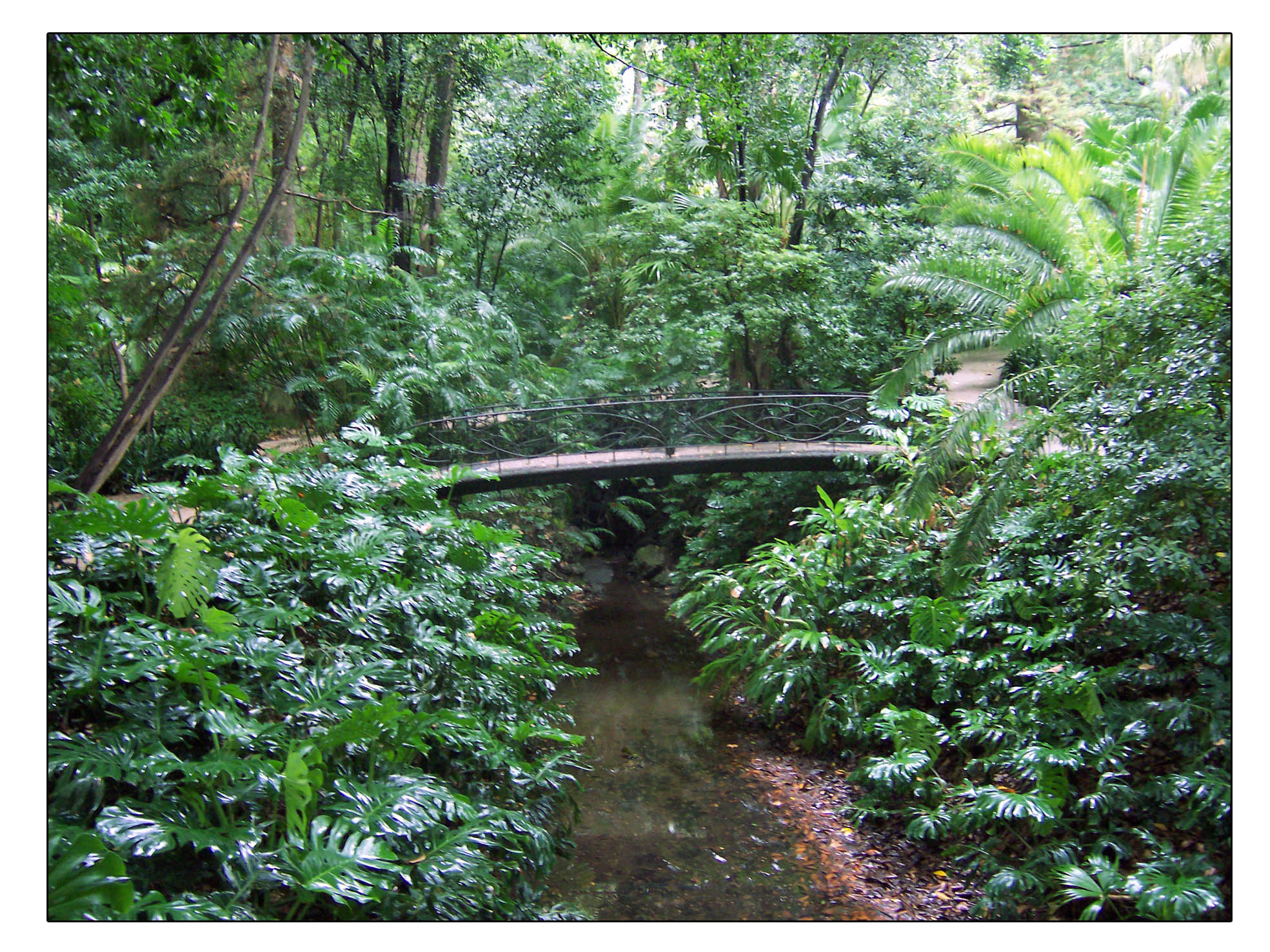 Wedding In Jardin Botanico By Eventonova Bridestory Com