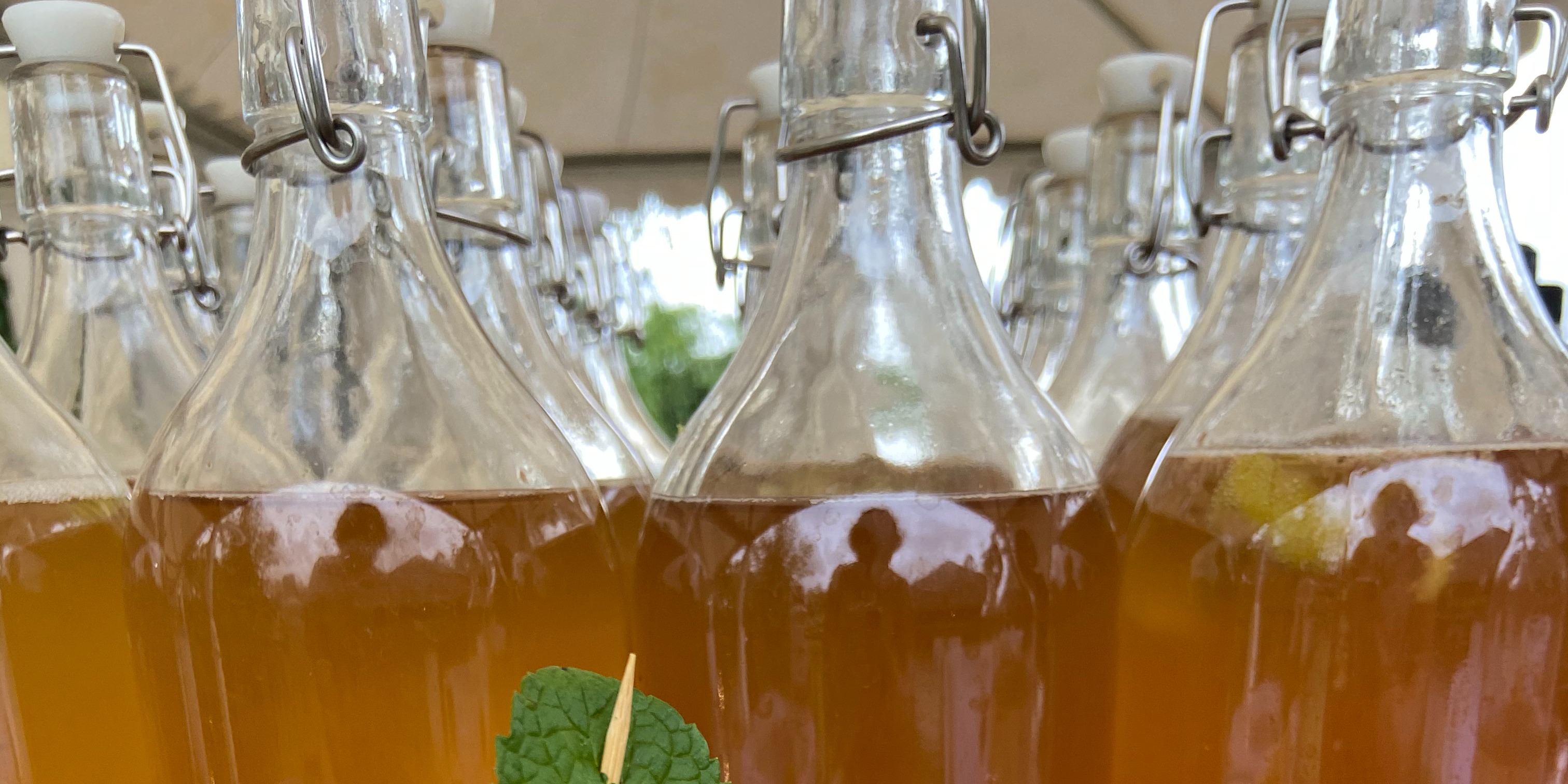 Kombucha Bulk by Ramuraga Bridestory Store