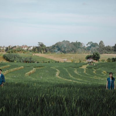 Nikita svolvær Nikita svolvær
