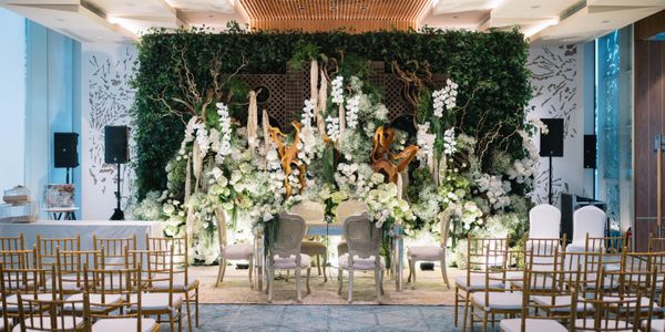 WattleTree Package for 50 Persons