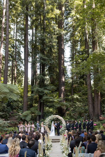 Pernikahan Bintang Twilight Ashley Greene Dan Paul Khoury Di Tengah Hutan - 004 Pernikahan Bintang Twilight Ashley Greene Dan Paul Khoury Di Tengah Hutan - 004