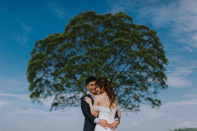 Off shoulder wedding gown by Kelly's Bridals - 004 Off shoulder wedding gown by Kelly's Bridals - 004