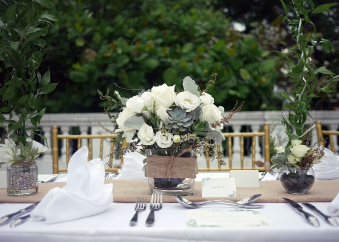 Desert Garden by Blanc Studios - 011 Desert Garden by Blanc Studios - 011
