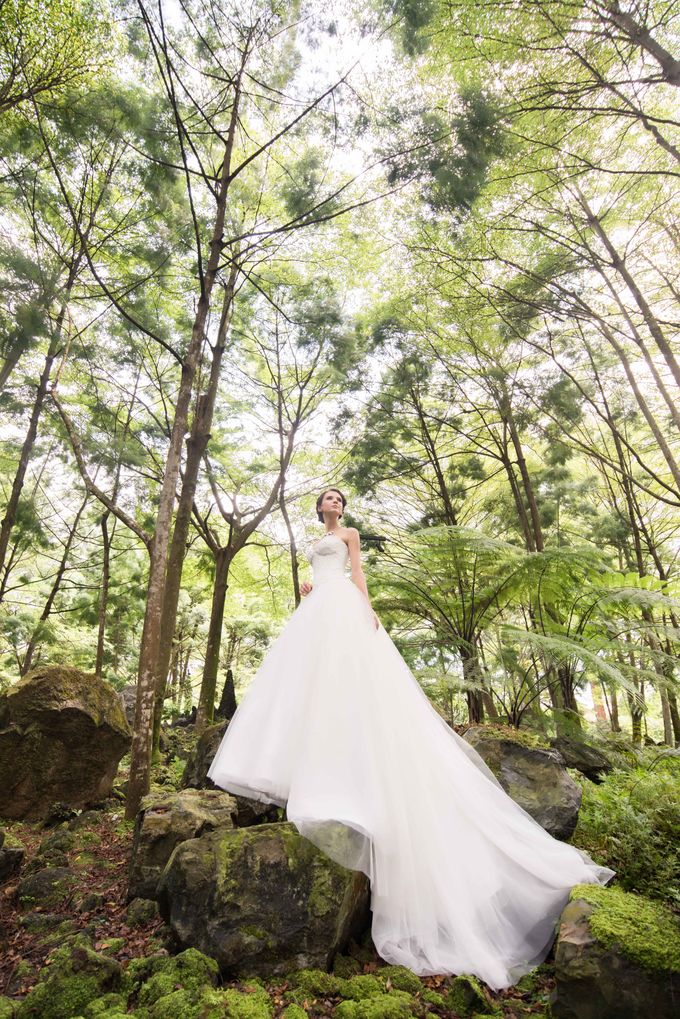 Gown Collection by My Dream Wedding - 040 Gown Collection by My Dream Wedding - 040