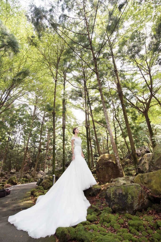 Gown Collection by My Dream Wedding - 041 Gown Collection by My Dream Wedding - 041