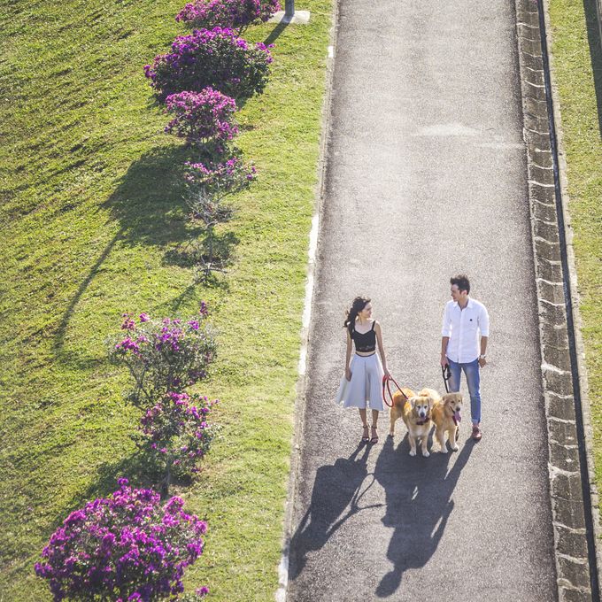 Brandon and Simin by Shane Chua Photography - 003 Brandon and Simin by Shane Chua Photography - 003