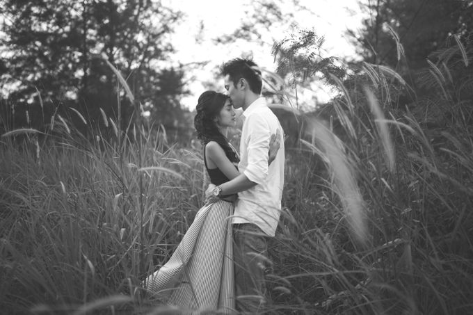 Brandon and Simin by Shane Chua Photography - 001 Brandon and Simin by Shane Chua Photography - 001
