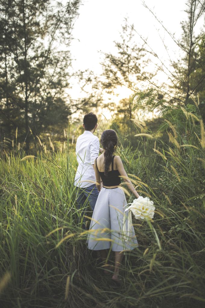 Brandon and Simin by Shane Chua Photography - 005 Brandon and Simin by Shane Chua Photography - 005