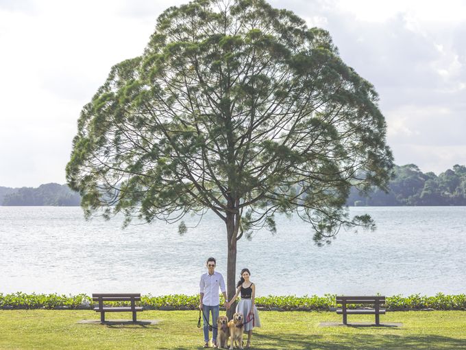 Brandon and Simin by Shane Chua Photography - 004 Brandon and Simin by Shane Chua Photography - 004