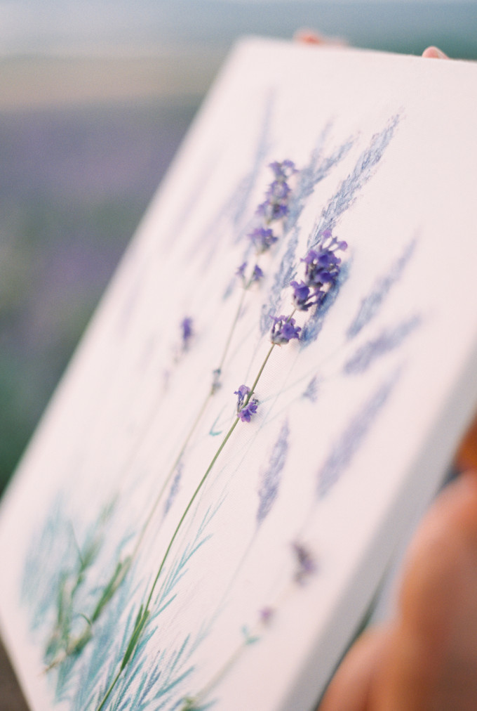 Inspirasi Pemotretan Memesona Di Kebun Lavender - 012 Inspirasi Pemotretan Memesona Di Kebun Lavender - 012