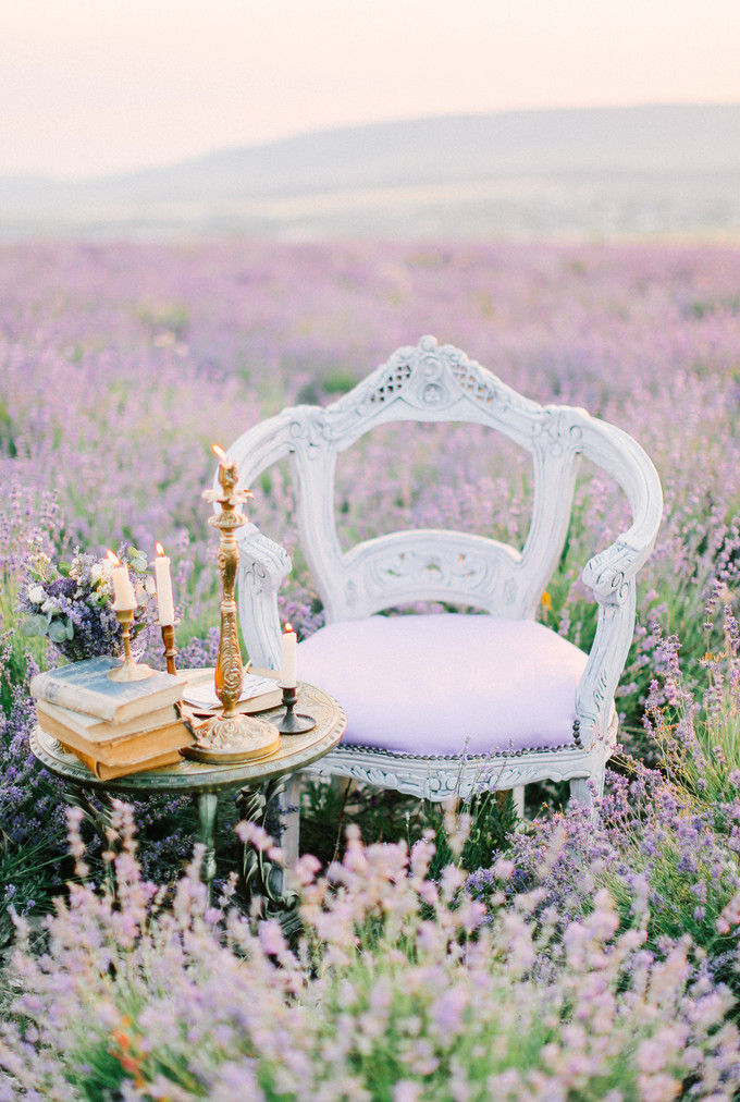 Inspirasi Pemotretan Memesona Di Kebun Lavender - 007 Inspirasi Pemotretan Memesona Di Kebun Lavender - 007