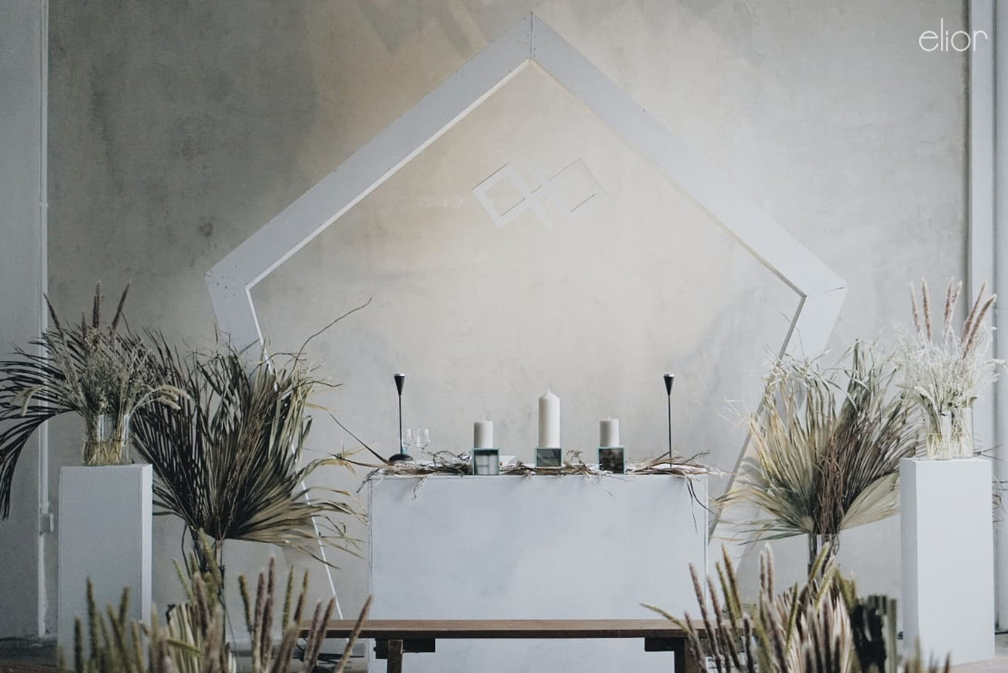 Terkeren 28+ Foto Bunga Kering - Gambar Bunga HD