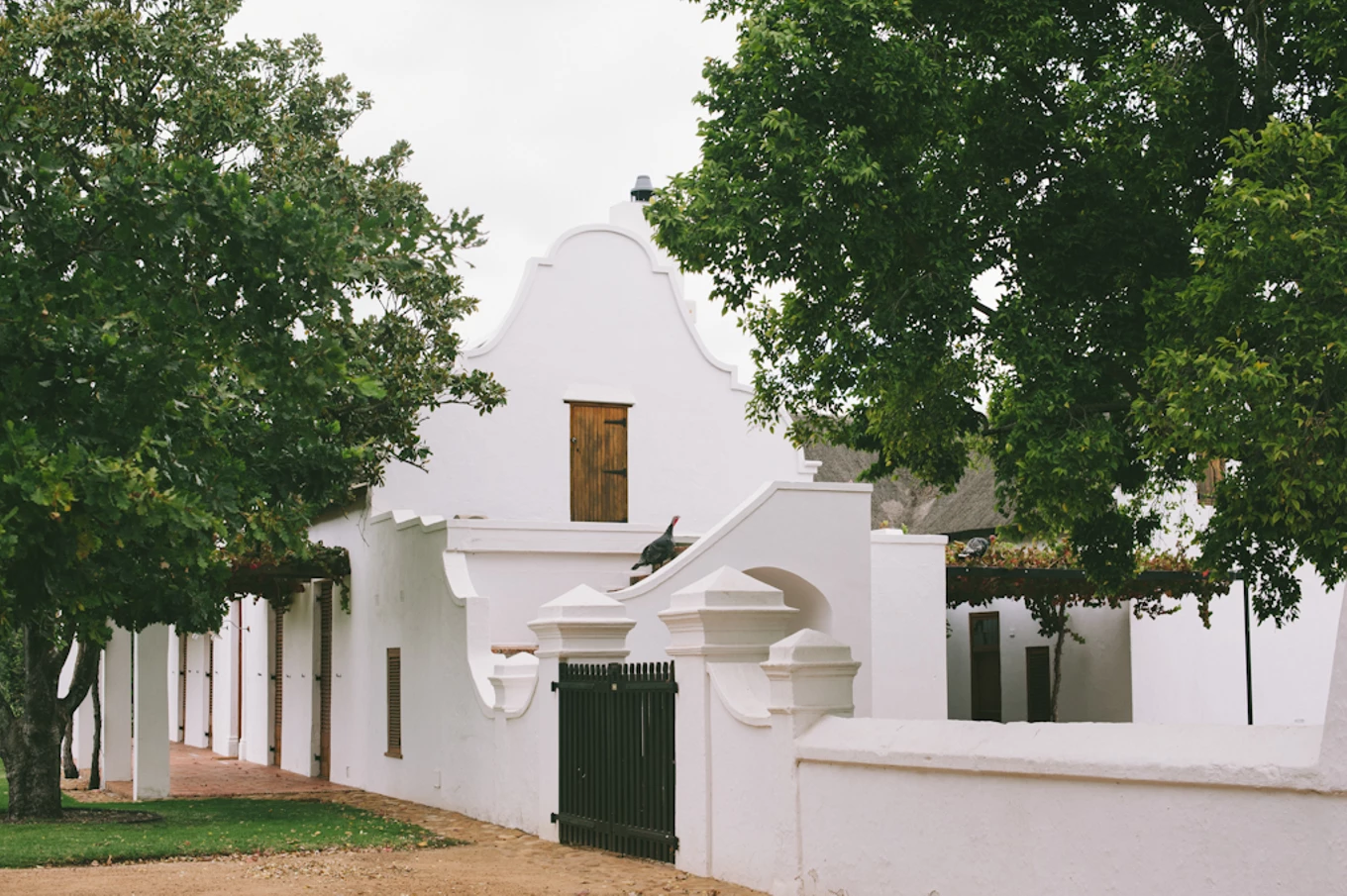 An Artsy Rustic Farm Wedding In South Africa Bridestory Blog