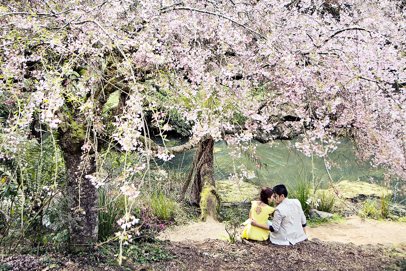 Blossoming Spring Pre-Wedding in Melbourne - Bridestory Blog - 1360 x 907 jpeg 733kB