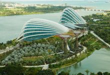 Garden By The Bay Flower Field Hall gardensthe bay | wedding venue in singapore | bridestory Garden By The Bay Flower Field Hall gardensthe bay | wedding venue in singapore | bridestory