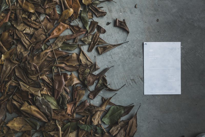 a-modern-minimalist-wedding-filled-with-dried-flower-arrangements-1